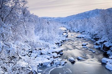 Fluss mit Felsbrocken und verschneiten Bäumen in Norwegen
