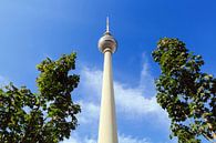 Berliner Fernsehturm von Frank Herrmann Miniaturansicht