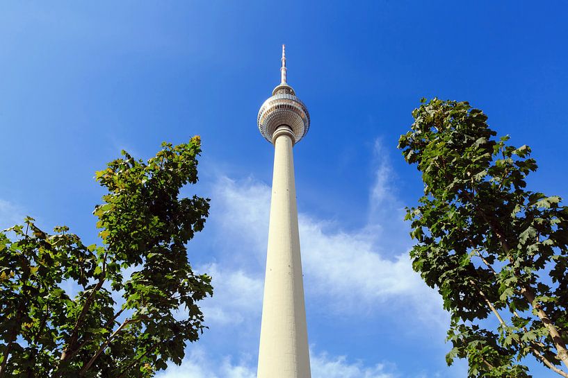 Berliner Fernsehturm von Frank Herrmann