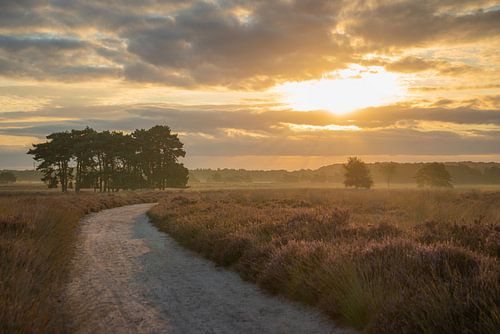 Zonsopkomst op de Regte Heide.