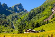 The Aigenalm in Grossarl by Christa Kramer thumbnail