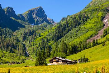 L'alpage Aigenalm à Großarl