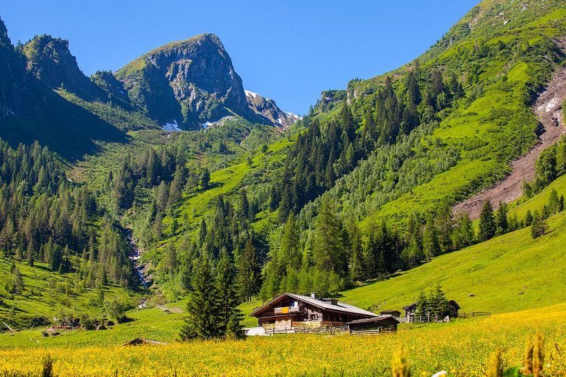 The Aigenalm in Grossarl by Christa Kramer