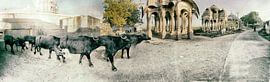 Rajasthan, India by Hermann Mock