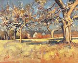Bloesemende Bellet fruitgaard van Nop Briex thumbnail
