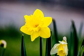 Stadt Zauber von Photoart-Naegele