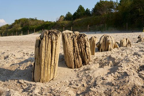 Golfbreker op het strand van de Oostzee