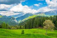 Matkov kot vallei in de Kamnik Savinja Alpen in Slovenië van Sjoerd van der Wal Fotografie thumbnail