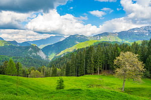 Matkov kot Tal in den Kamniker Savinja Alpen in Slowenien