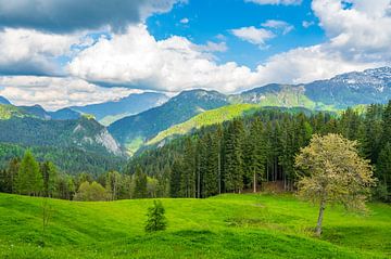 Matkov kot vallei in de Kamnik Savinja Alpen in Slovenië