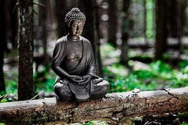 Meditation von Jürgen Wiesler