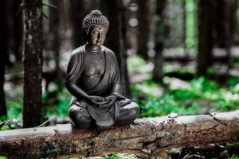 Meditation by Jürgen Wiesler