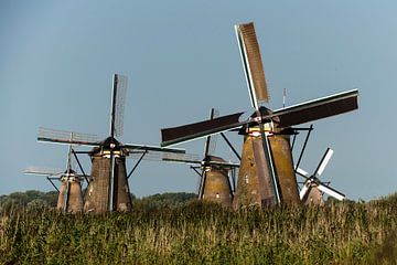 Molens van Kinderdijk van Roel Ovinge