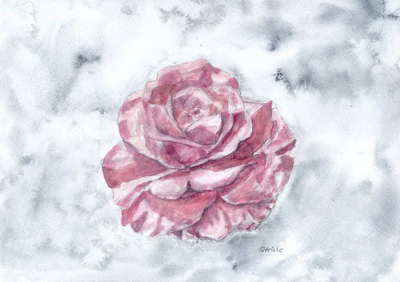 Rosa Rosenblüte von Sandra Steinke