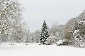 Park in de winter van Merijn van der Vliet