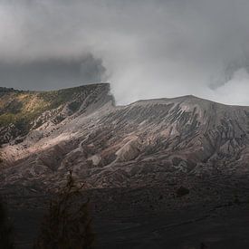Bromo Tengger Semeru National Park van Harmen van der Vaart