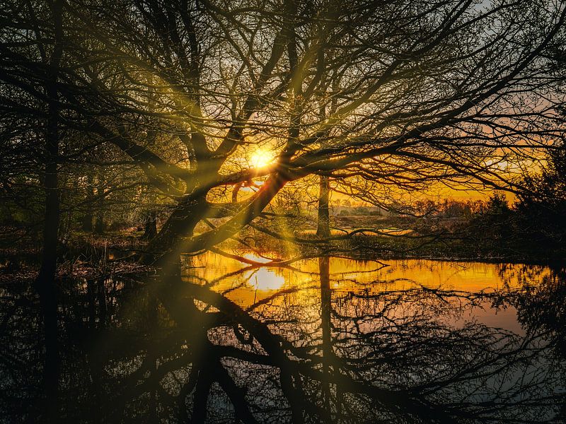 Sunburst by snippefotografie