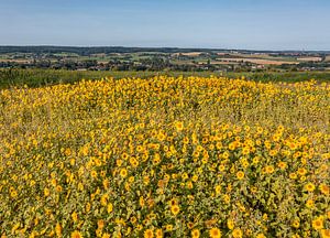 Luftaufnahme der Aussicht auf die südlimburgischen Hügel