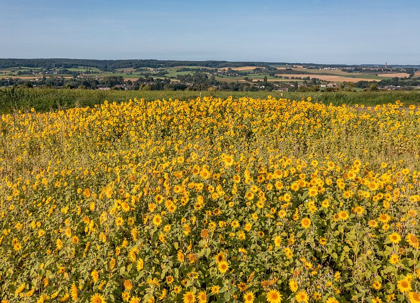 Luftaufnahme der Aussicht auf die südlimburgischen Hügel von John Kreukniet