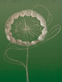 Abstrakte und minimalistische Strichzeichnung Löwenzahn