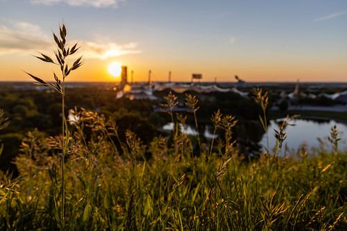 Sonnenuntergang Olympiapark München