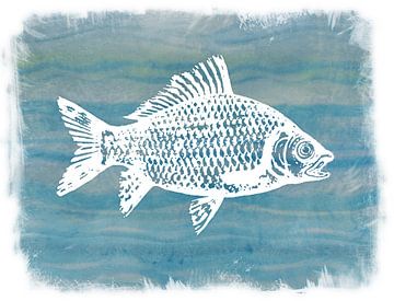 Poisson non identifié