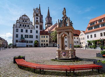 Marktplatz von Oschatz in Sachsen von Animaflora PicsStock