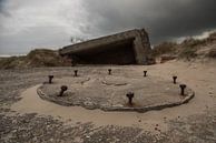 Old German bunker on the island Terschelling in the Netherlands par Tonko Oosterink Aperçu