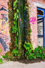 colourful decline by Kim Schröder