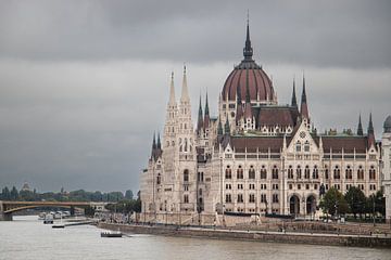 Parliament building, Budapest by Nynke Altenburg