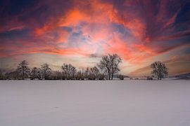 La magie de l'hiver au coucher du soleil