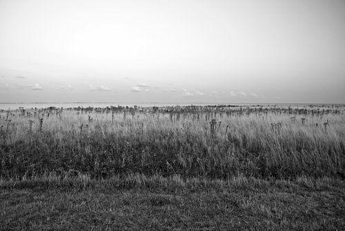 Photo at the Ijsselmeer.