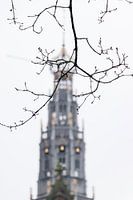 Toren van de Grote Sint Bavokerk in Haarlem, Nederland