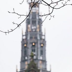 Turm der Grote Sint Bavokerk in Haarlem, Niederlande von Simone Neeling