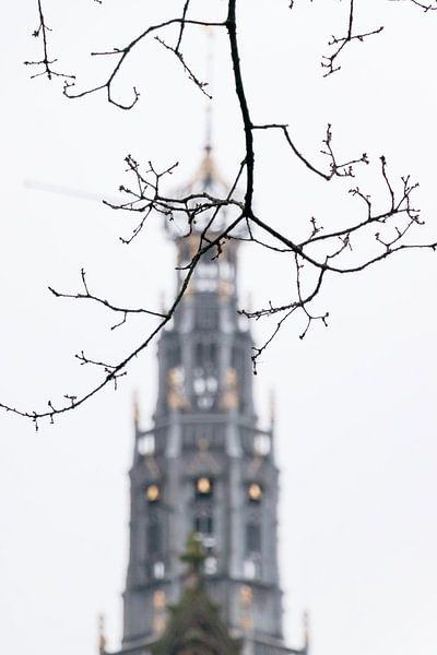 Turm der Grote Sint Bavokerk in Haarlem, Niederlande von Simone Neeling