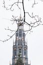 Toren van de Grote Sint Bavokerk in Haarlem, Nederland van Simone Neeling thumbnail