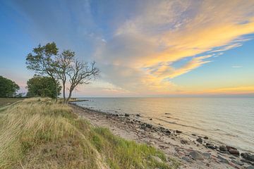 Staberhuk klif op Fehmarn voor zonsopgang