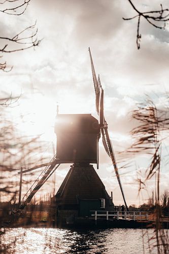 Moulin de Kinderdijk