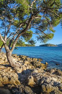 Strand Platja de Formentor, Mallorca