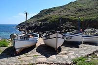 Cheerfully coloured fishing boats on dry land