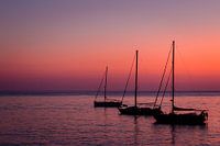 Sunset Sailboats