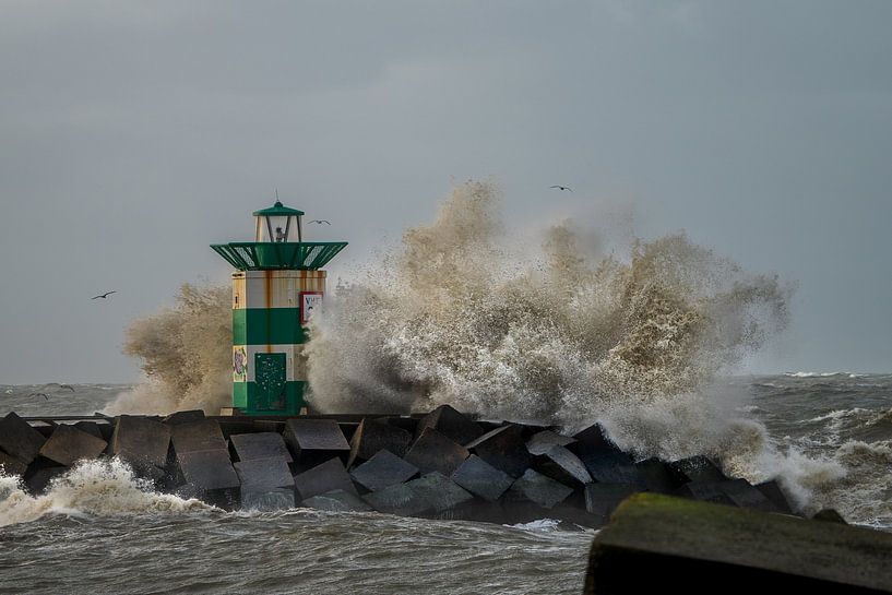 Kraft der Natur von Peter Groeneboom