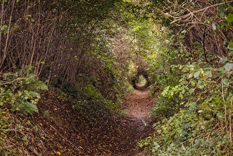 Footpath between Hilleshagen and Wahlwiller by Rob Boon