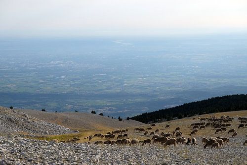 Uitzicht Mont Ventoux