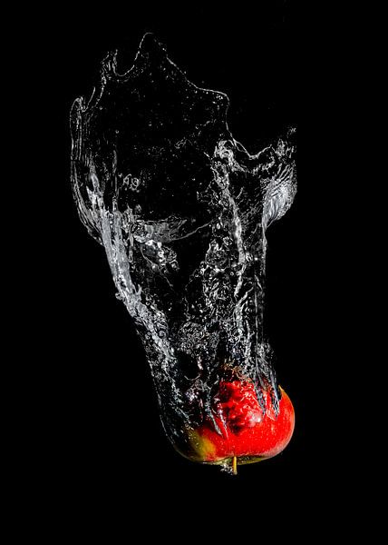 Un fruit splendide, la pomme. par Jan van Zessen
