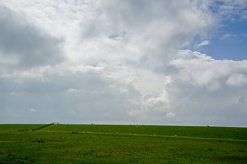 Terschelling dans toute sa splendeur