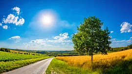 Sommerlandschaft von Günter Albers