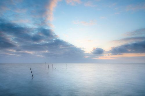 Fishing nets in the IJsselmeer by Ton Drijfhamer