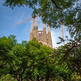 Sagrada Familia - Barcelona van t.ART