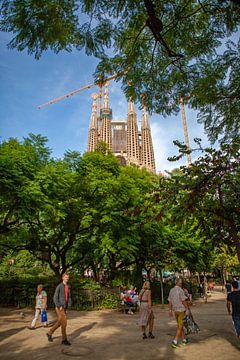 Sagrada Familia - Barcelona